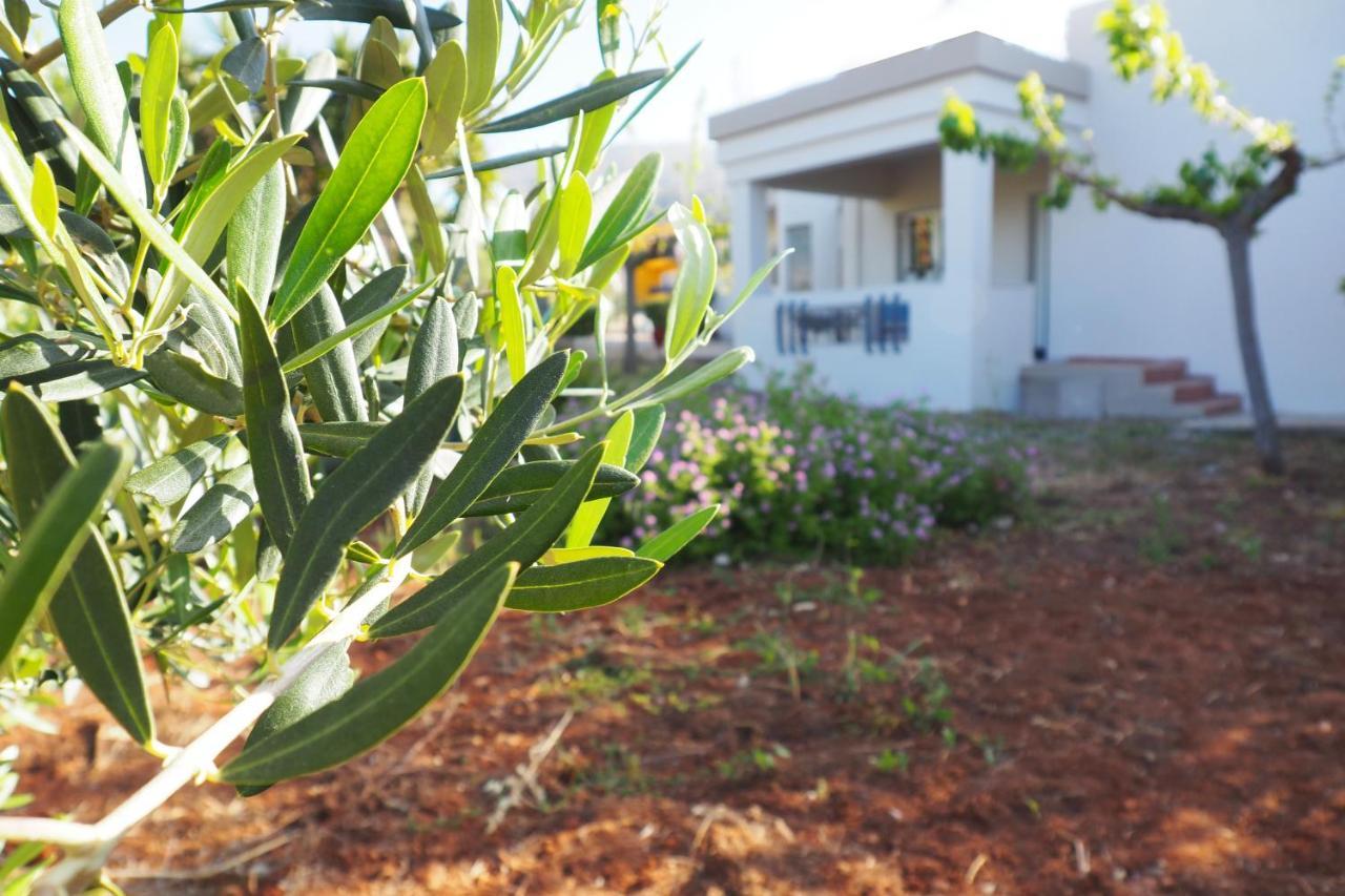Olive House Vila Mália Exterior foto